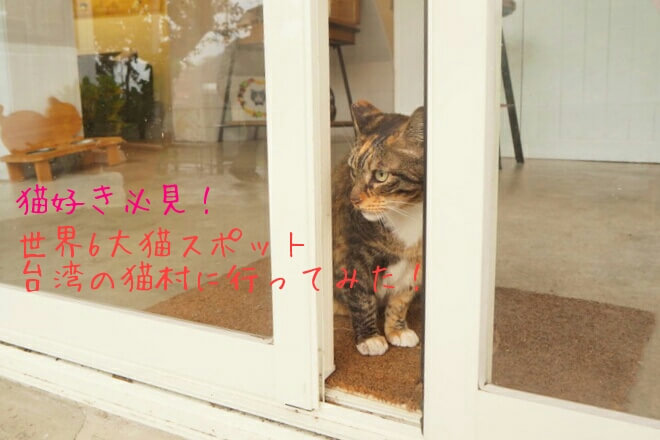 猫好き必見 台湾の猫村 猴硐 に行ってみた カフェや行き方まとめ 世界がキミを待っている セカキミ